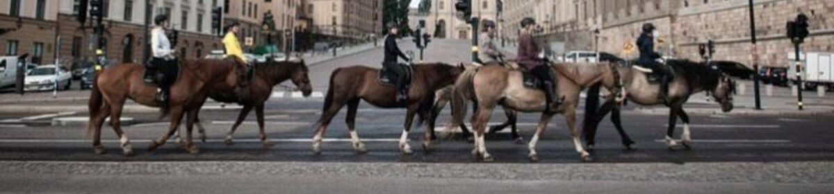Turridning Stockholm By Horse